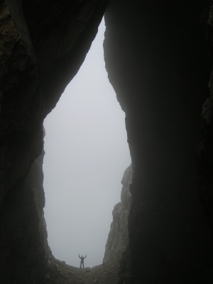 Michl im Hinteren Fenster