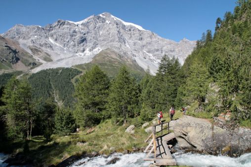 Blick ber das Zaytal zum Ortler