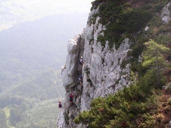 Die Senkrechte dominiert